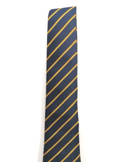 Stanwell Comprehensive School - STANWELL YR 8 TIE, Stanwell Comprehensive School