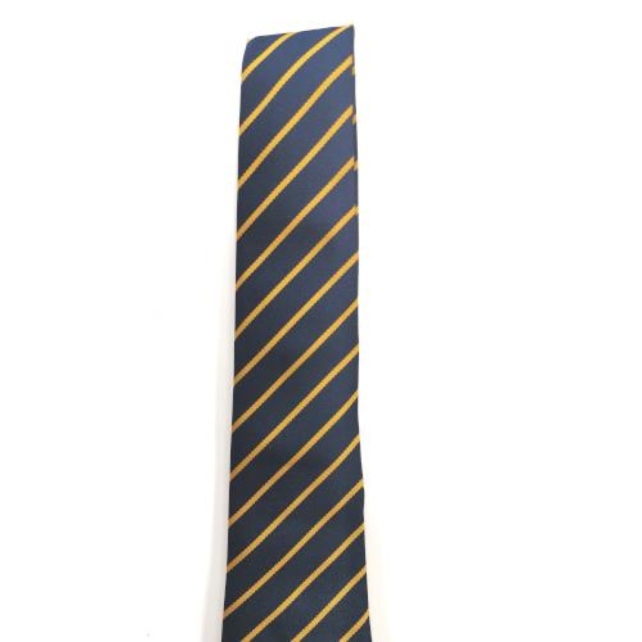Stanwell Comprehensive School - STANWELL YR 8 TIE, Stanwell Comprehensive School