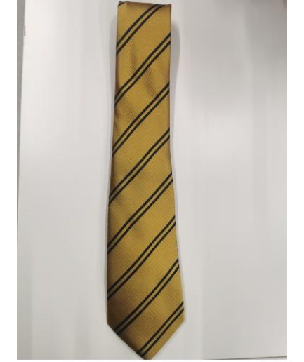 STANWELL YR 13 TIE, Stanwell Comprehensive School