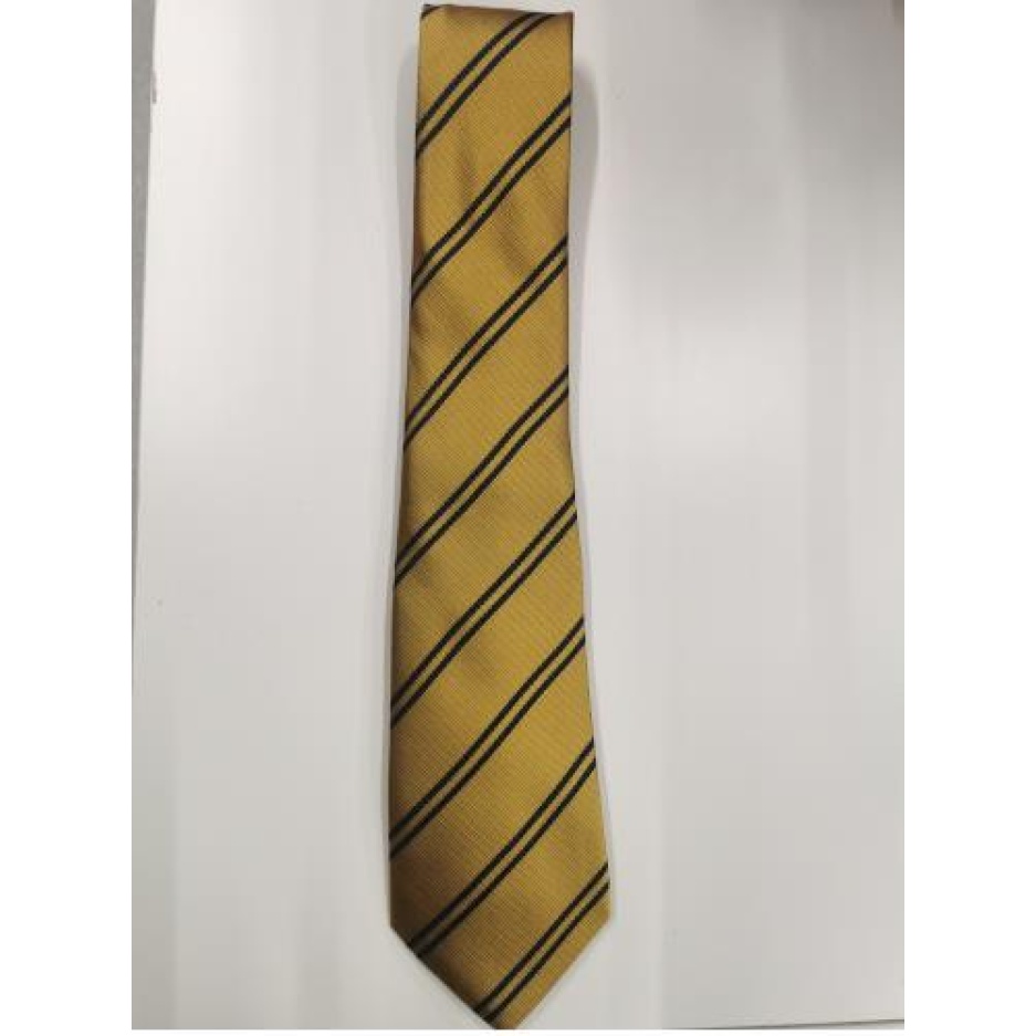 STANWELL YR 13 TIE, Stanwell Comprehensive School