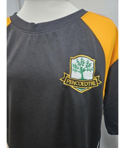 Pencoedtre High School - PENCOEDTRE GCSE T-SHIRT, Pencoedtre High School