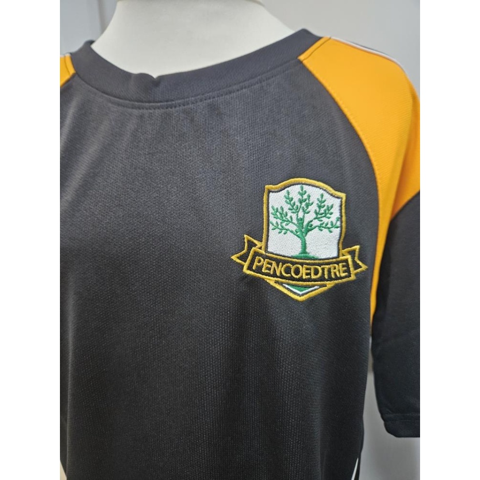 Pencoedtre High School - PENCOEDTRE GCSE T-SHIRT, Pencoedtre High School