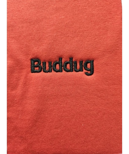 Ysgol Sant Baruc - BUDDUG PE T.SHIRT, Ysgol Sant Baruc