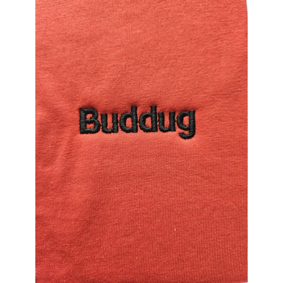 Ysgol Sant Baruc - BUDDUG PE T.SHIRT, Ysgol Sant Baruc