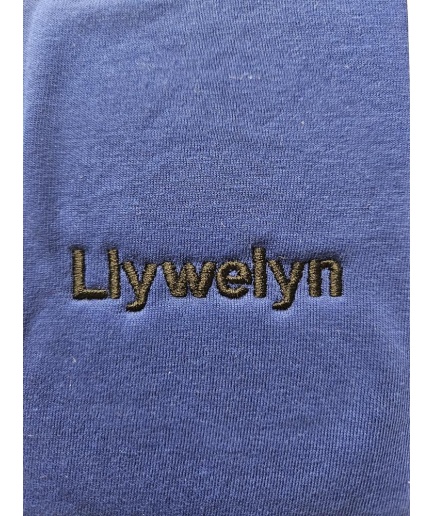 Ysgol Sant Baruc - LLYWELYN PE T.SHIRT, Ysgol Sant Baruc