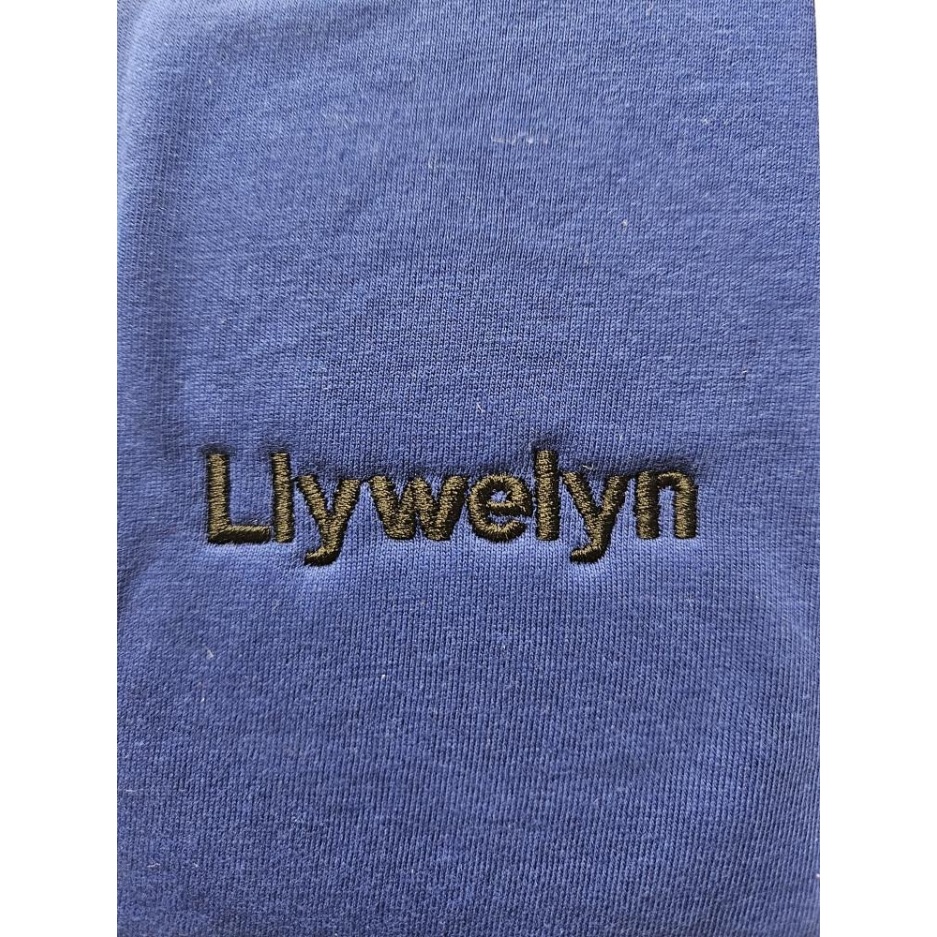 Ysgol Sant Baruc - LLYWELYN PE T.SHIRT, Ysgol Sant Baruc