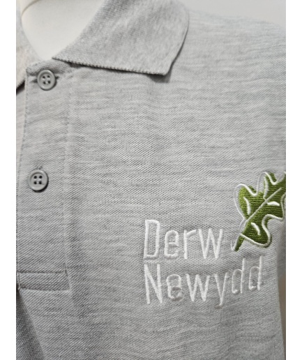 Derw Newydd - DERW NEWYDD SECONDARY POLO, Derw Newydd